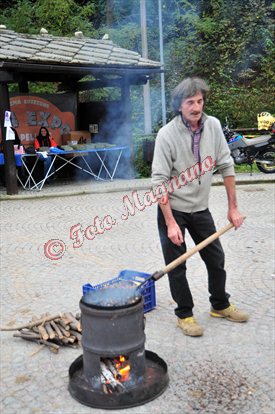 DSC_3766.jpg